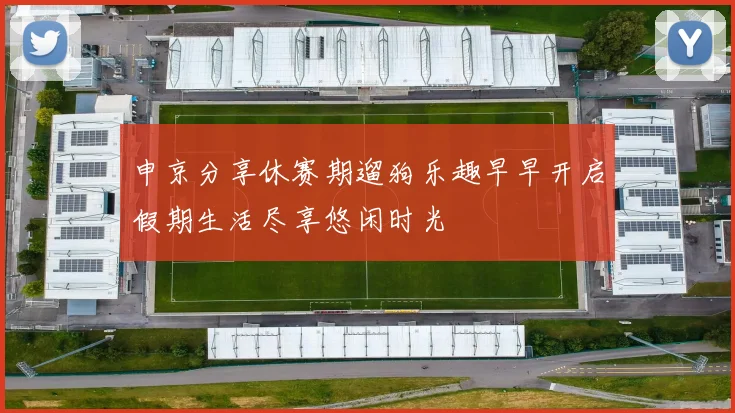 申京分享休赛期遛狗乐趣早早开启假期生活尽享悠闲时光