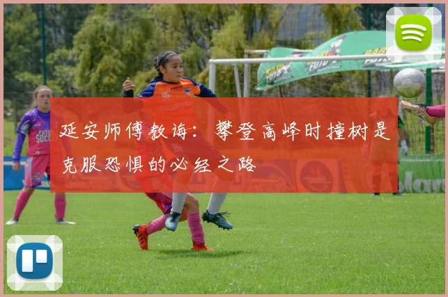 延安师傅教诲：攀登高峰时撞树是克服恐惧的必经之路