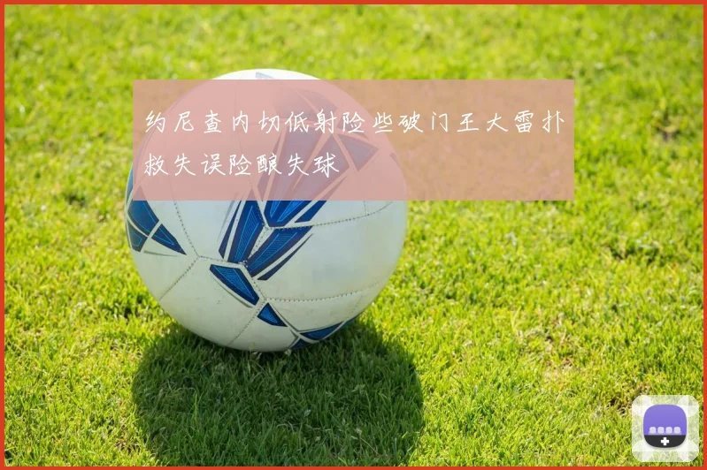 约尼查内切低射险些破门王大雷扑救失误险酿失球